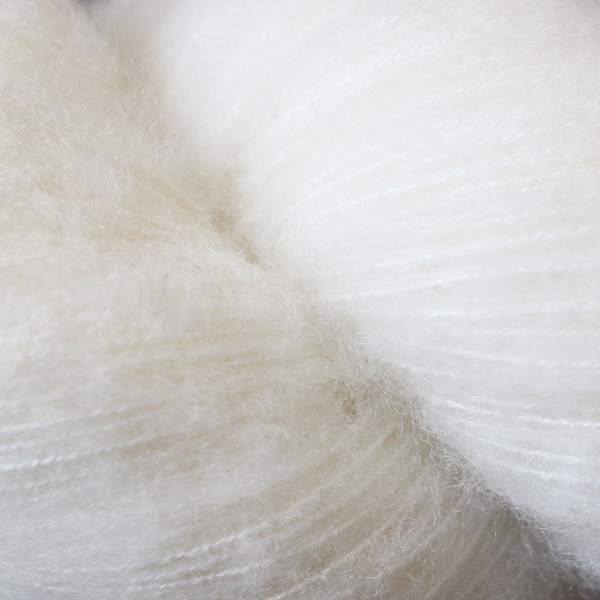 Wool Silk brushed Lace